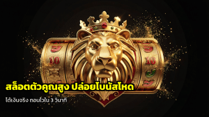 สล็อตตัวคูณสูง